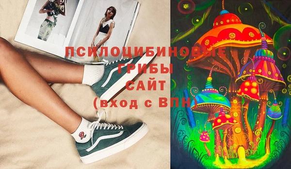 стафф Белокуриха