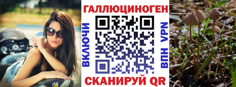 мега ТОР  Электросталь  Галлюциногенные грибы MAGIC MUSHROOMS 